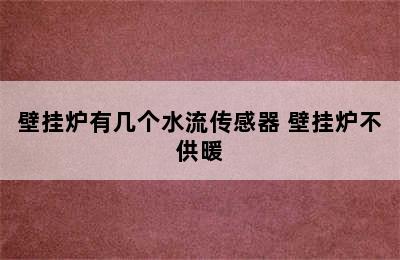 壁挂炉有几个水流传感器 壁挂炉不供暖